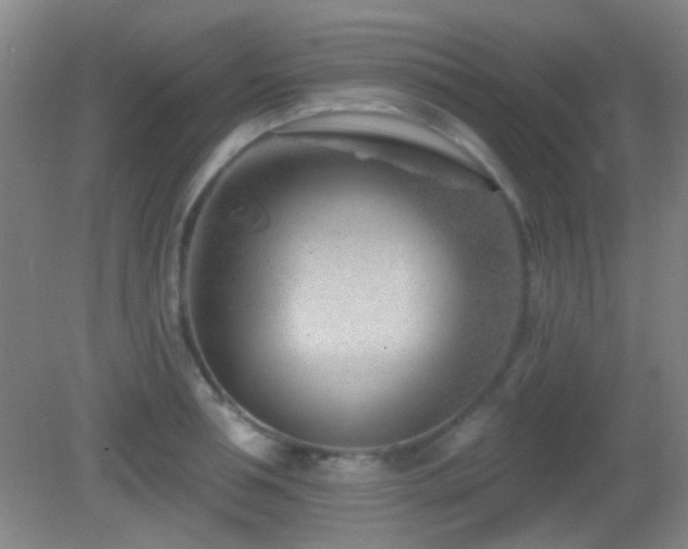 X0000082930994200702011235