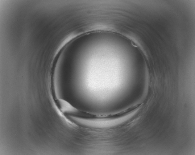 X0000082930999200702011235