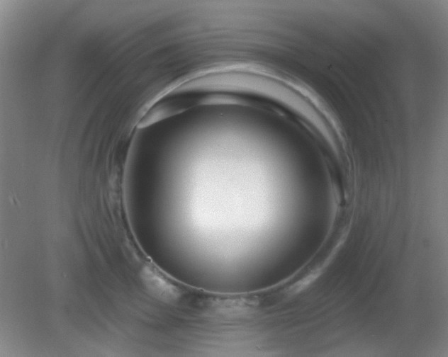 X0000082931001200702011235
