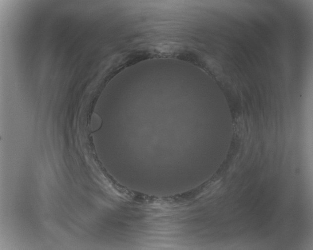 X0000082931009200702011234
