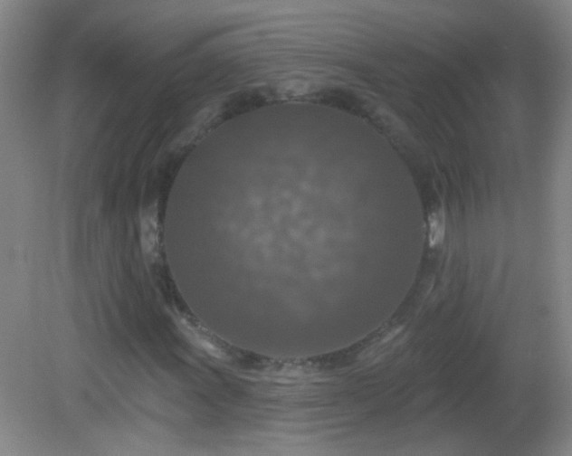 X0000082931011200702011234