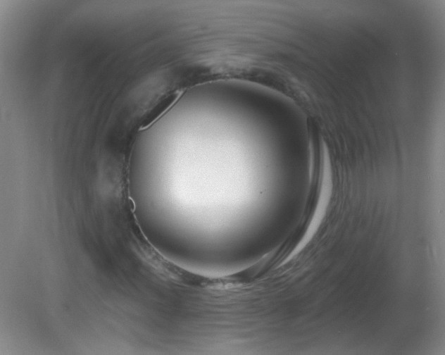 X0000082931012200702011234