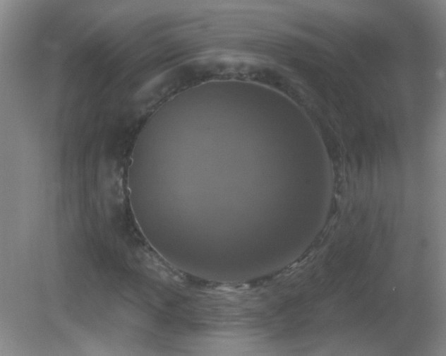 X0000082931013200702011234