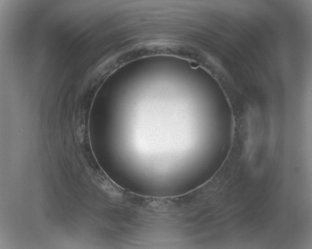 X0000082931015200702011234