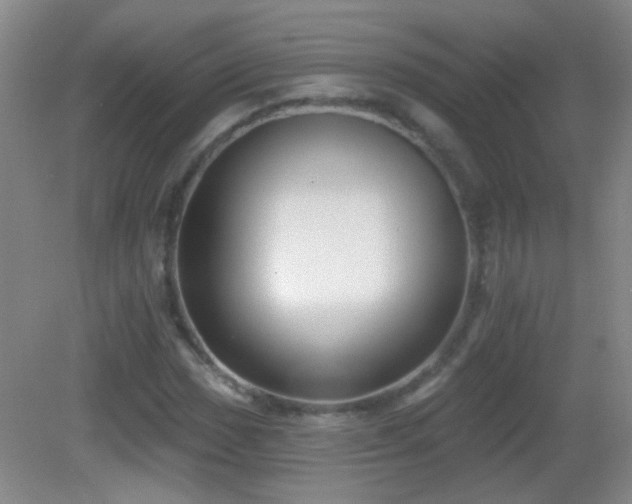X0000082931017200702011234