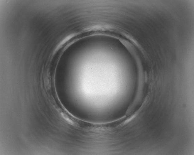 X0000082931018200702011234