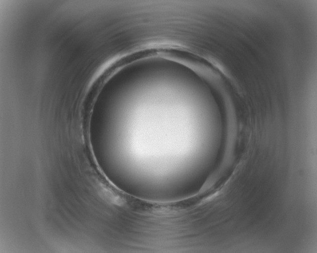 X0000082931022200702011234