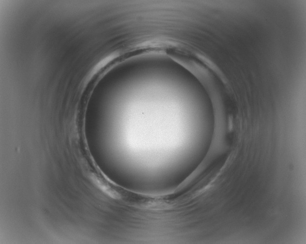 X0000082931026200702011234