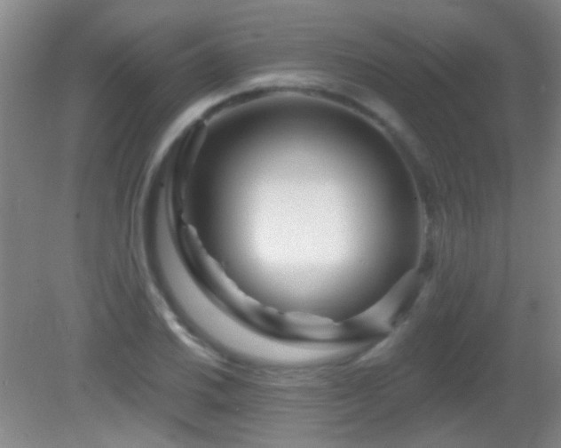 X0000082931030200702011234