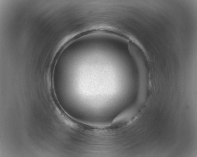 X0000082931032200702011234