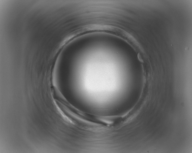 X0000082931033200702011234
