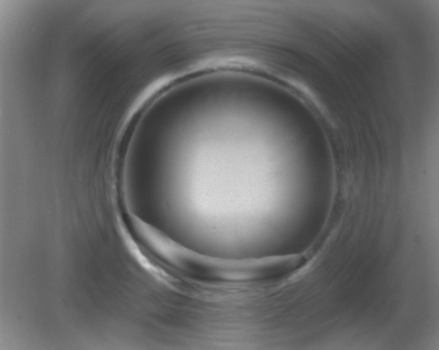 X0000082931038200702011234