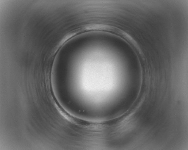 X0000082931041200702011234