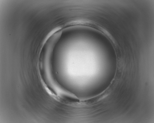X0000082931042200702011235