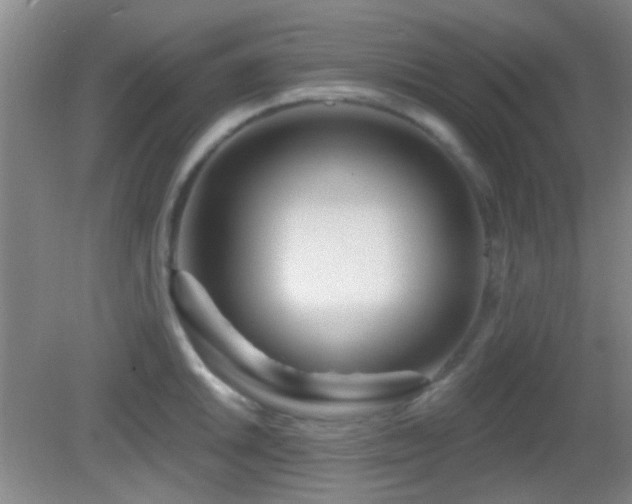 X0000082931046200702011235