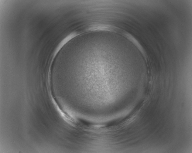 X0000082931050200702011235