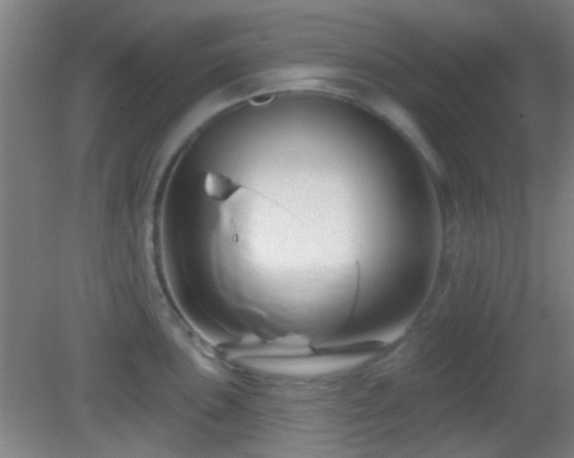 X0000082931051200702011235