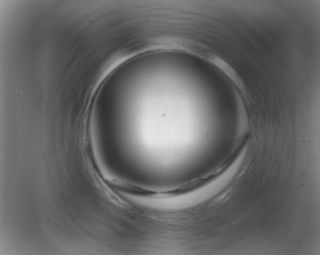 X0000082931052200702011235