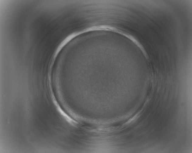 X0000082931054200702011235