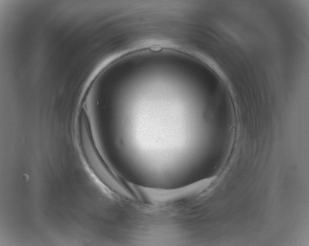X0000082931056200702011235