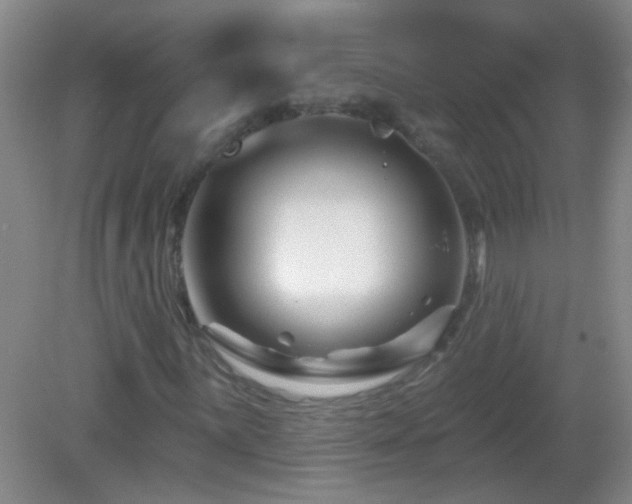X0000082931059200702011234