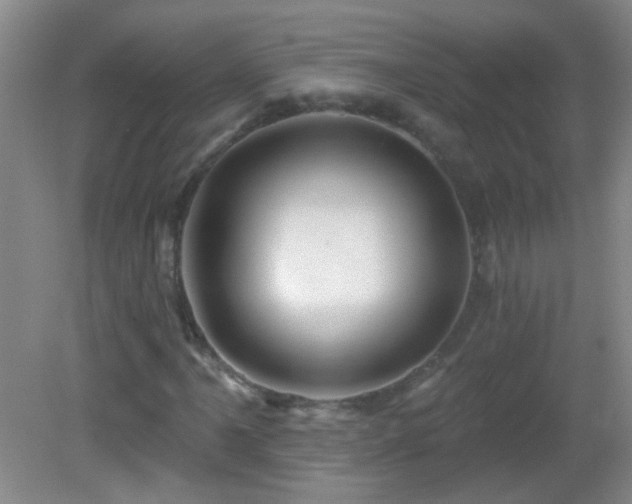X0000082931061200702011234
