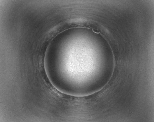 X0000082931062200702011234