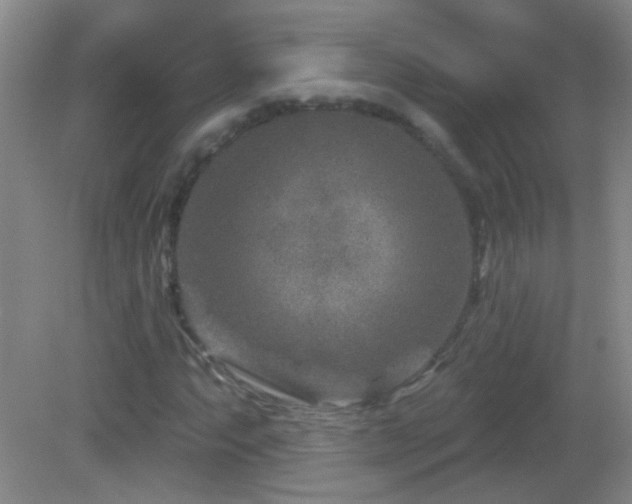 X0000082931063200702011234
