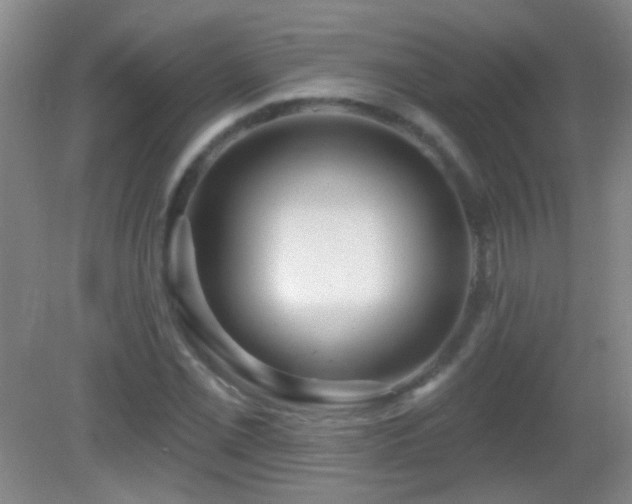 X0000082931069200702011234
