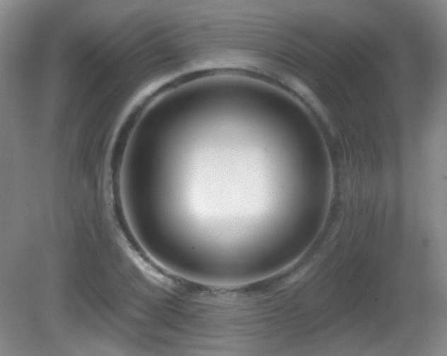 X0000082931072200702011234