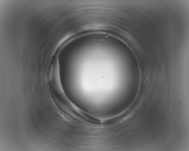 X0000082931073200702011234