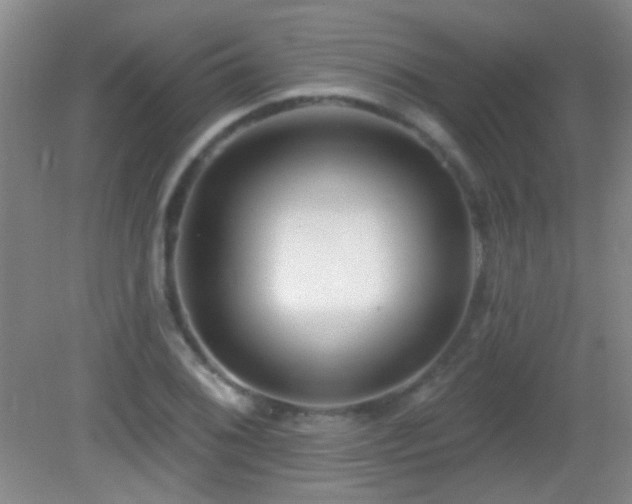 X0000082931076200702011234