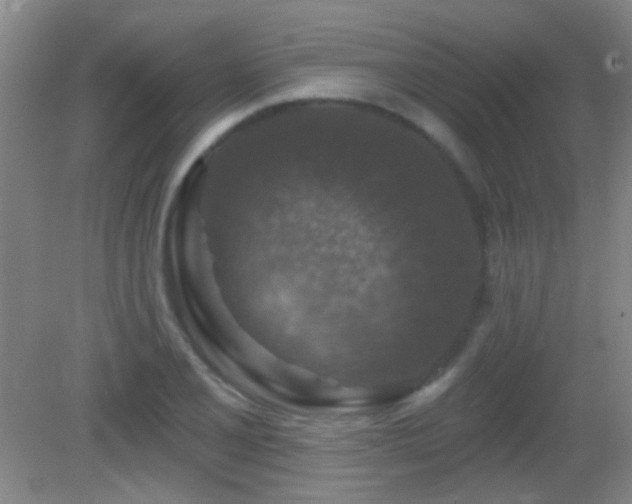 X0000082931077200702011234
