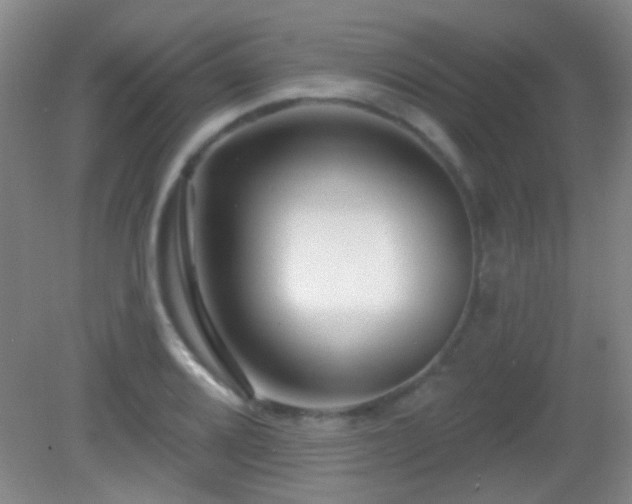 X0000082931080200702011234