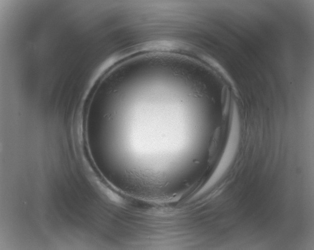 X0000082931083200702011234