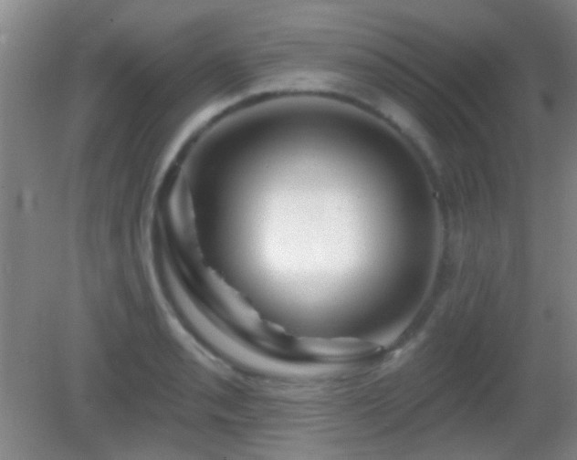 X0000082931085200702011233