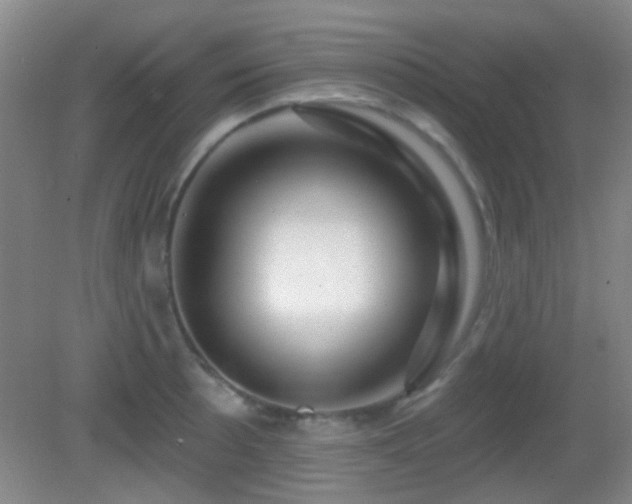 X0000082931089200702011233