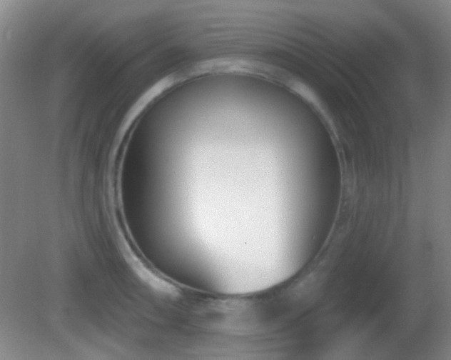 X0000082931090200702011233