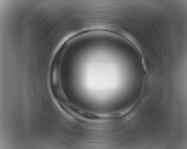 X0000082931093200702011233