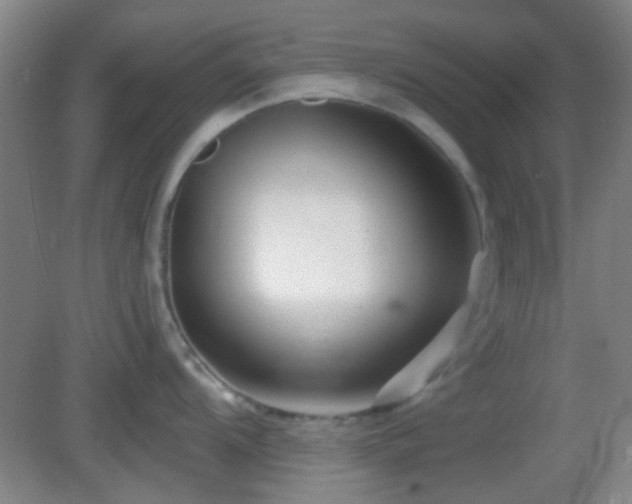X0000082931104200702011233