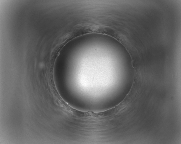 X0000082931105200702011232