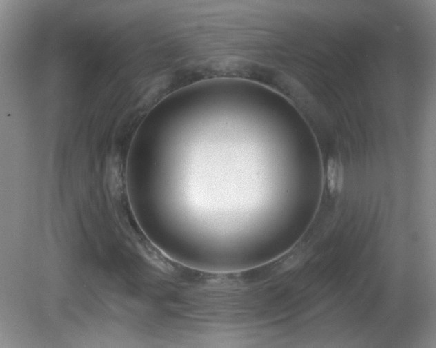 X0000082931107200702011232