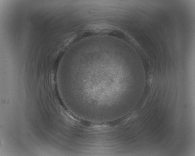 X0000082931108200702011232