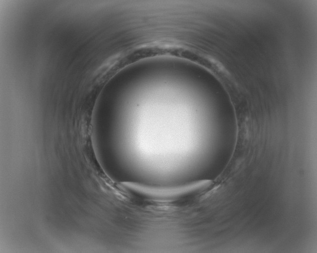 X0000082931110200702011232