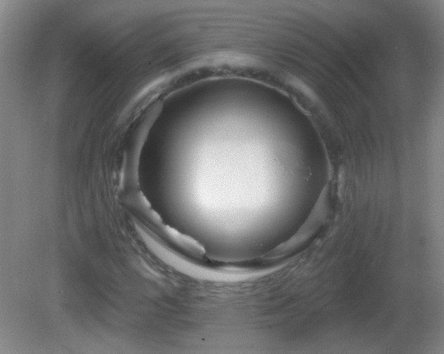 X0000082931112200702011232