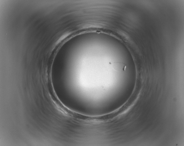 X0000082931113200702011232