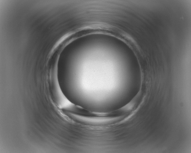 X0000082931114200702011232