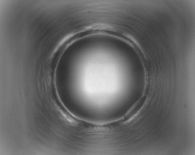 X0000082931115200702011233
