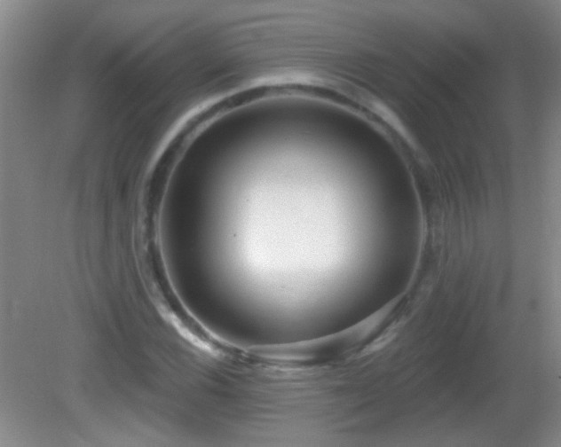 X0000082931116200702011233