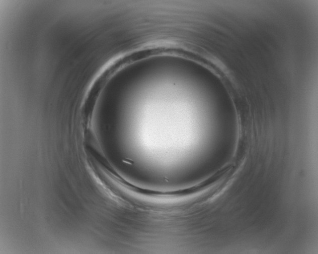 X0000082931118200702011233